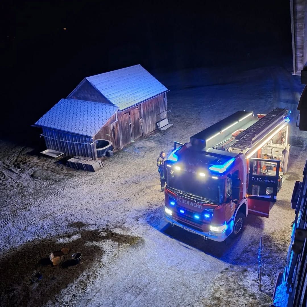 Heute.at - Feuer im Keller! Katzen werden zu Lebensrettern