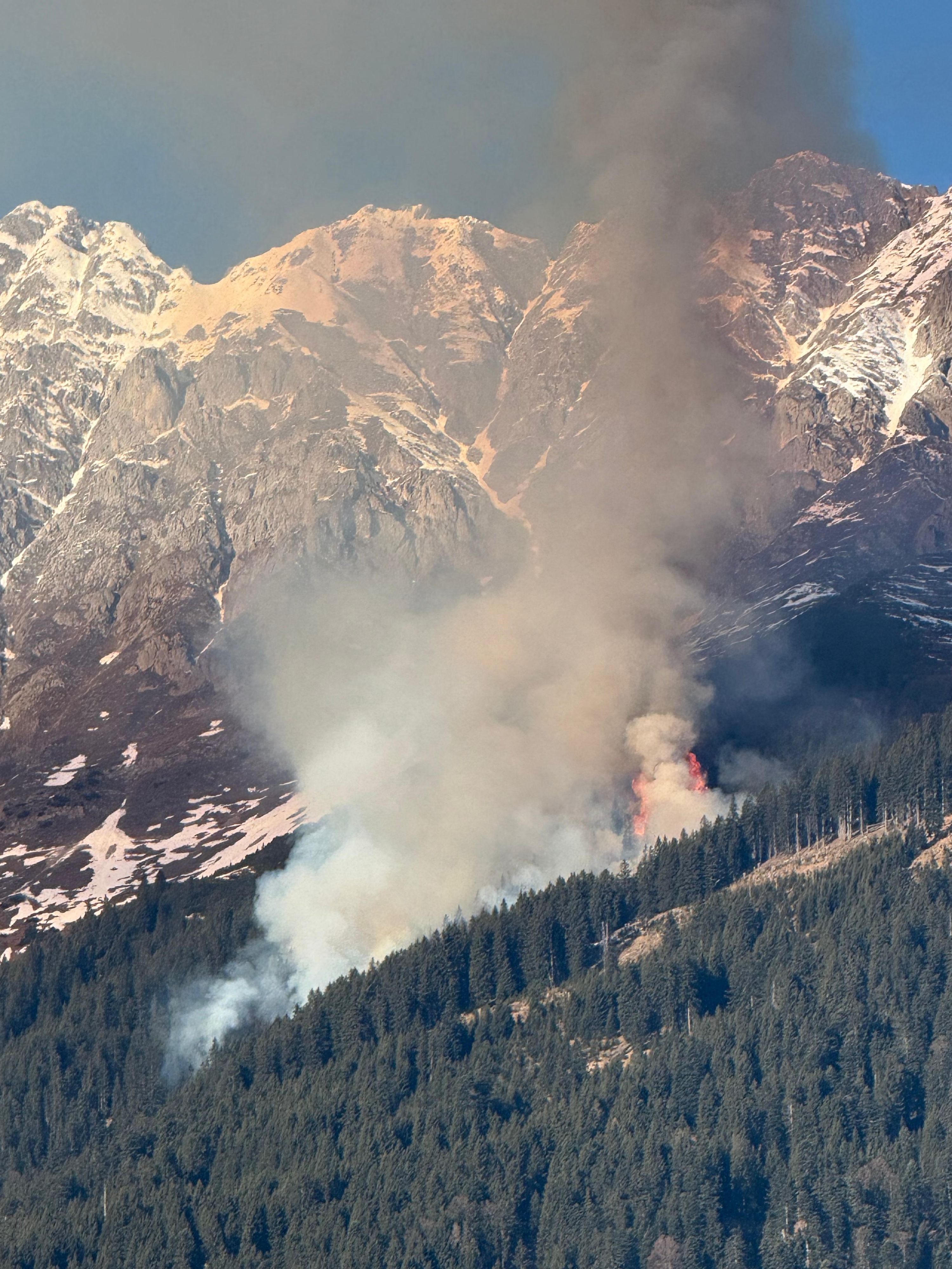 Heute.at - Großeinsatz bei Waldbrand – jetzt brisanter Verdacht