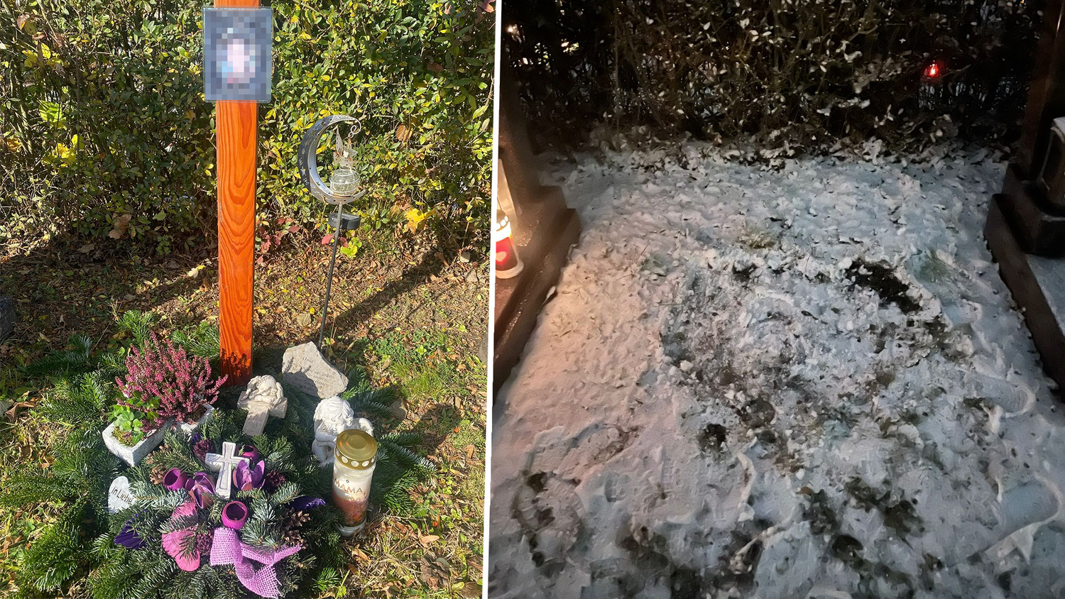 Heute.at - Oma ausradiert – Wirbel um verschwundenes Grab