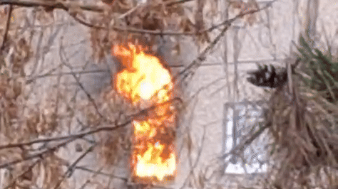 Heute.at - Video zeigt Flammen-Inferno in Wohnhaus in Wr. Neudorf