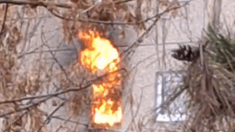 Heute.at - Video zeigt Flammen-Inferno in Wohnhaus in Wr. Neudorf