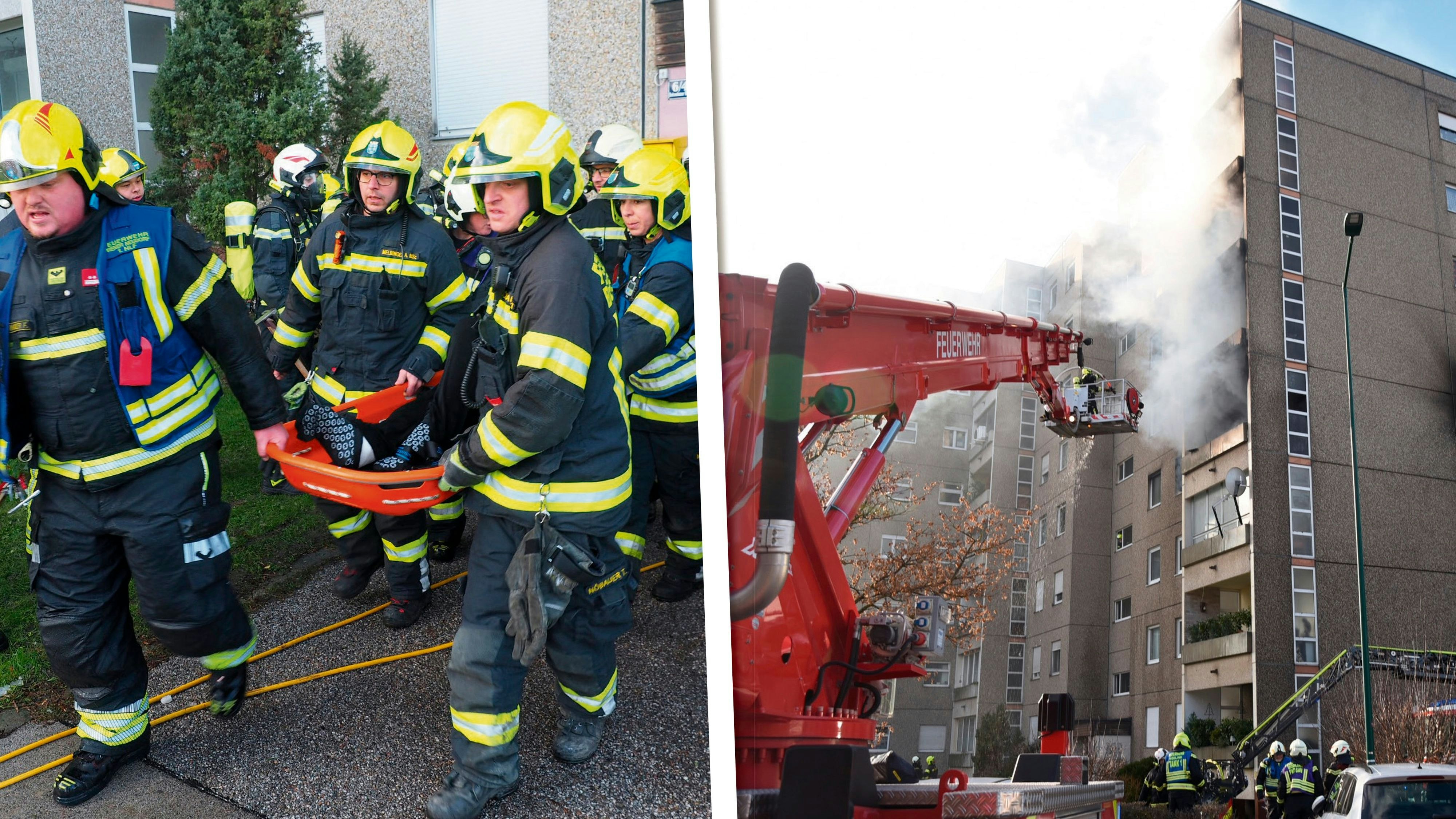 Heute.at - Großbrand in Wr. Neudorf: Bewohner und Hund gerettet