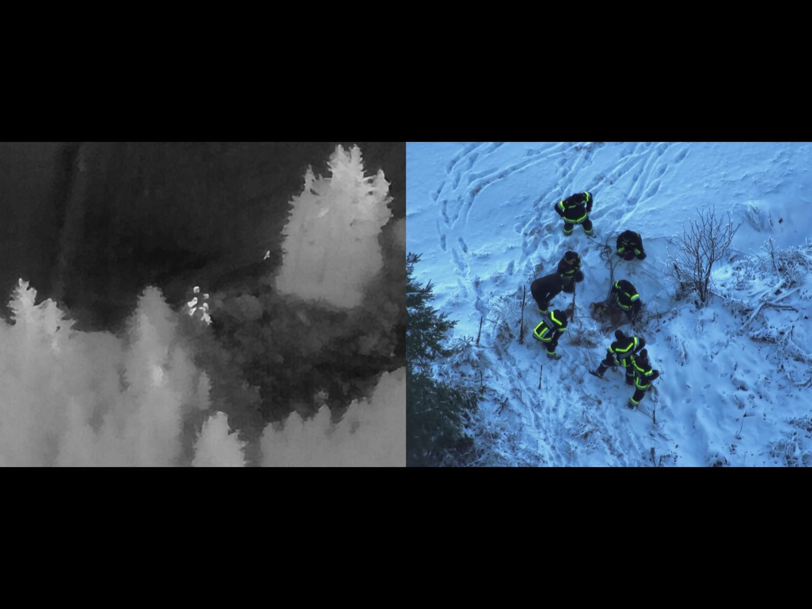 Heute.at - Kalb büxte Landwirt aus: Moderne Technik half bei Suche