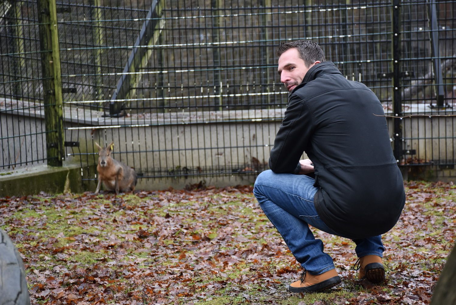 Heute.at - Gernot bekommt einen Pampas-Hasen zum Geburtstag