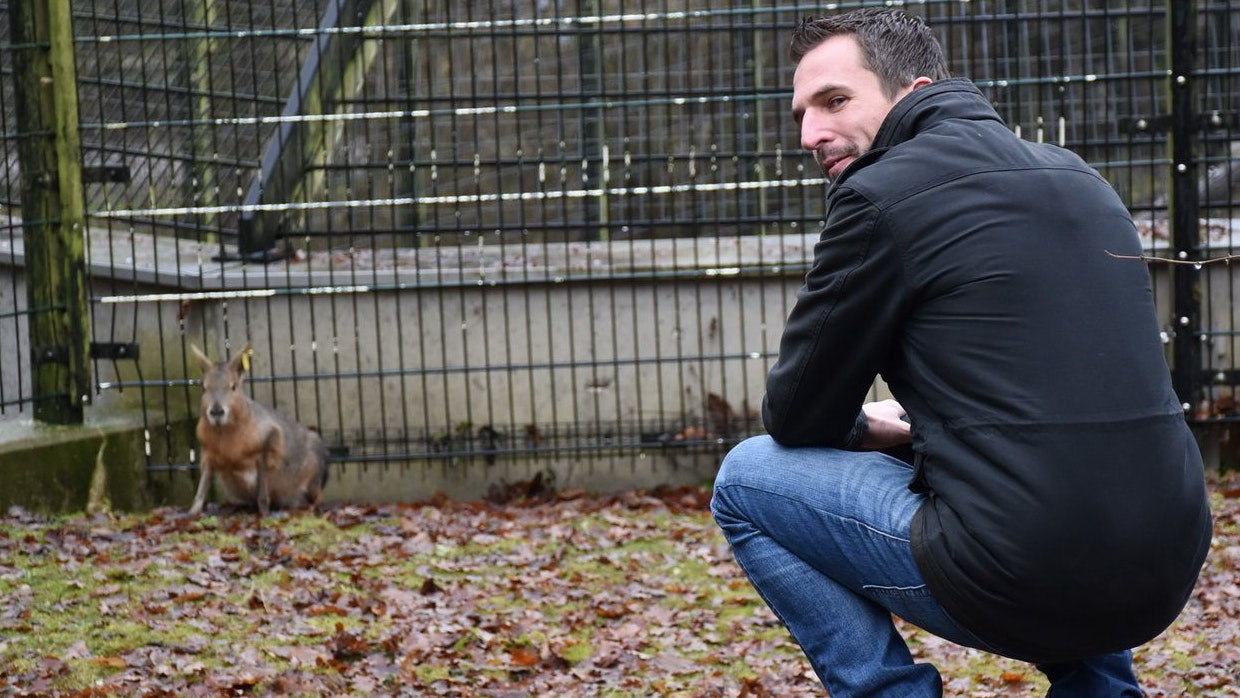 Heute.at - Gernot bekommt einen Pampas-Hasen zum Geburtstag