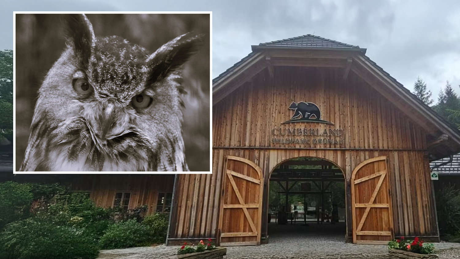 Heute.at - Große Lücke – Tiergarten trauert um uralte Bewohnerin
