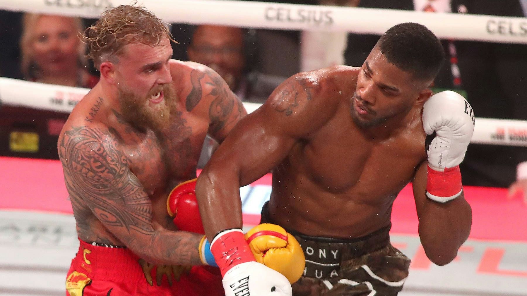 Heute.at - Boxer Joshua nach tödlichem Unfall aus Spital entlassen