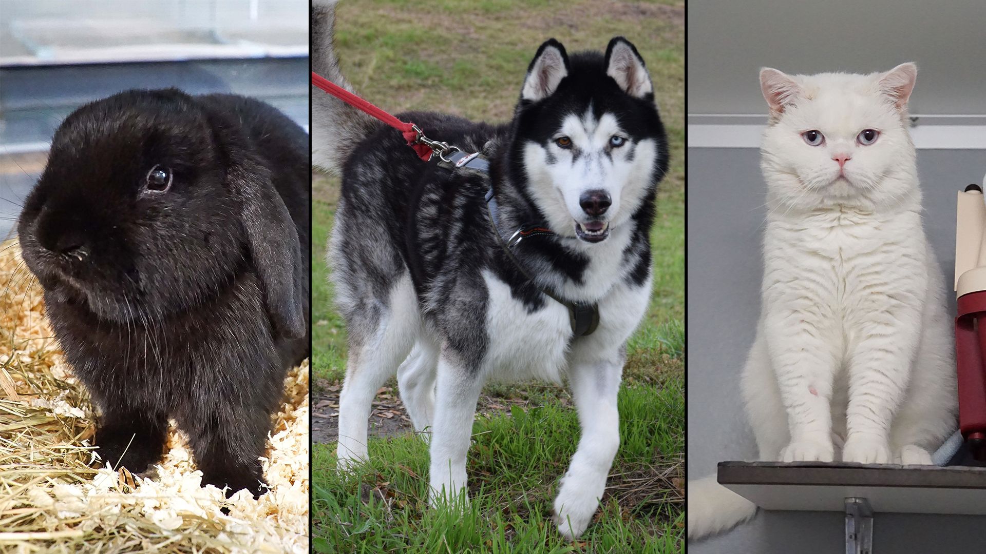 Heute.at - Die letzten Schätze vor dem Jahreswechsel