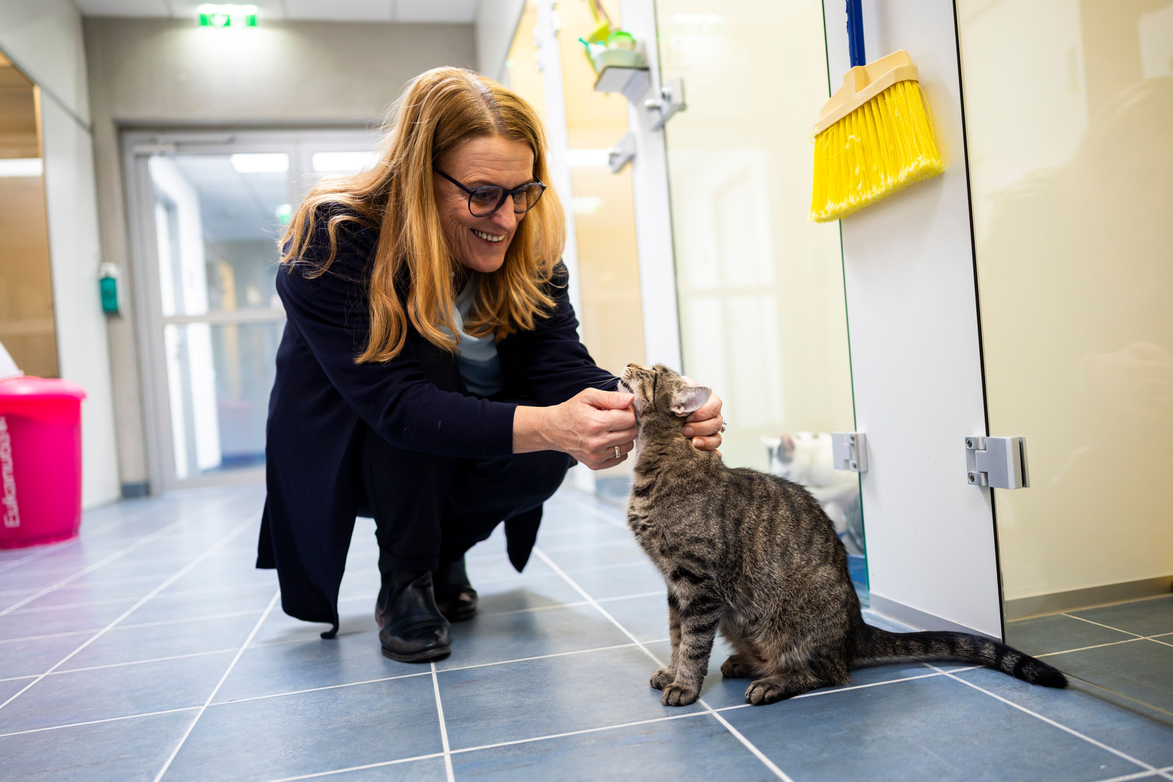 Staatssekretärin Ulrike Königsberger-Ludwig gibt nun Tipps für alle Tierbesitzer.