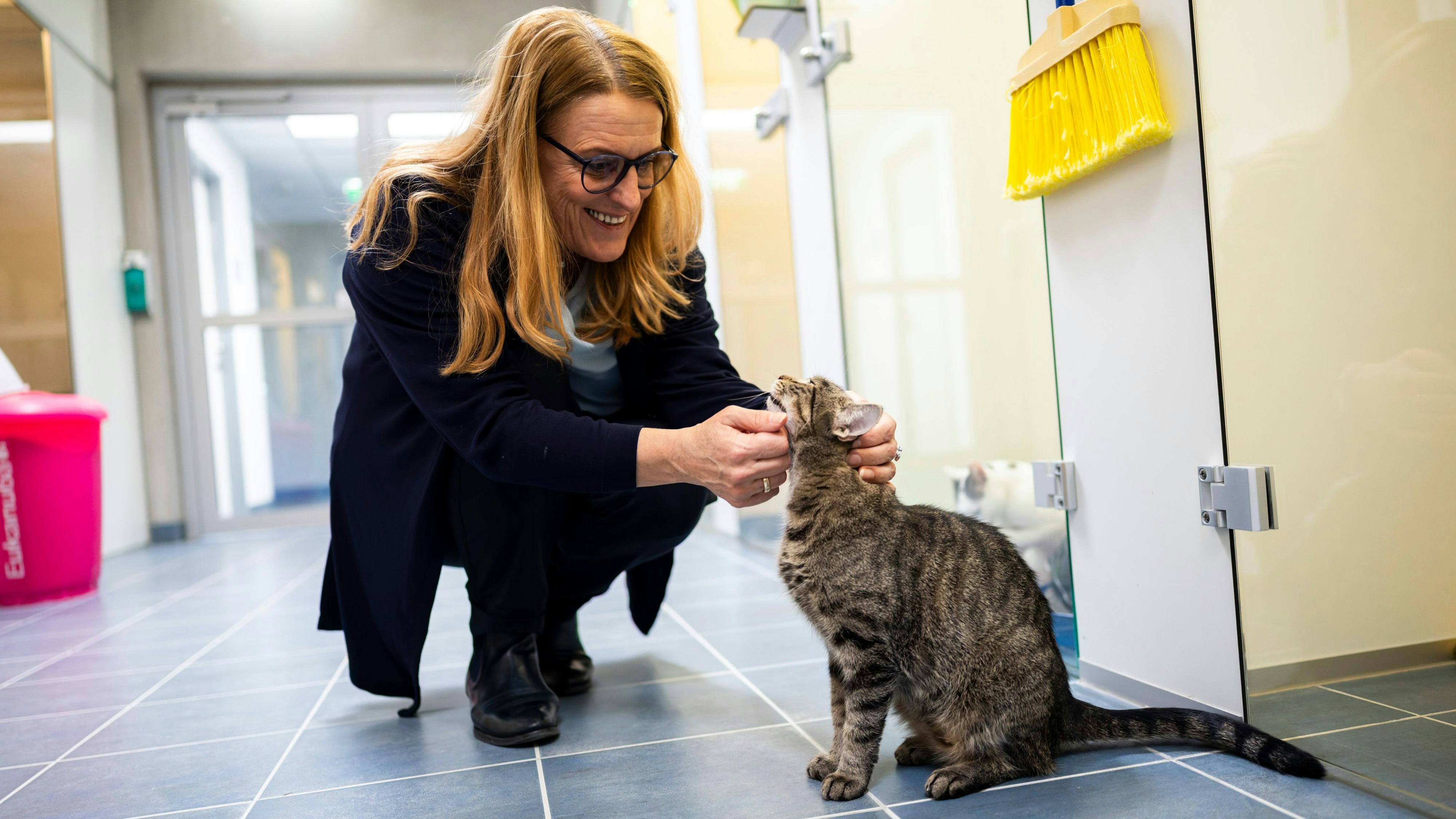 Heute.at - Tierpanik zu Silvester – das kannst DU dagegen tun