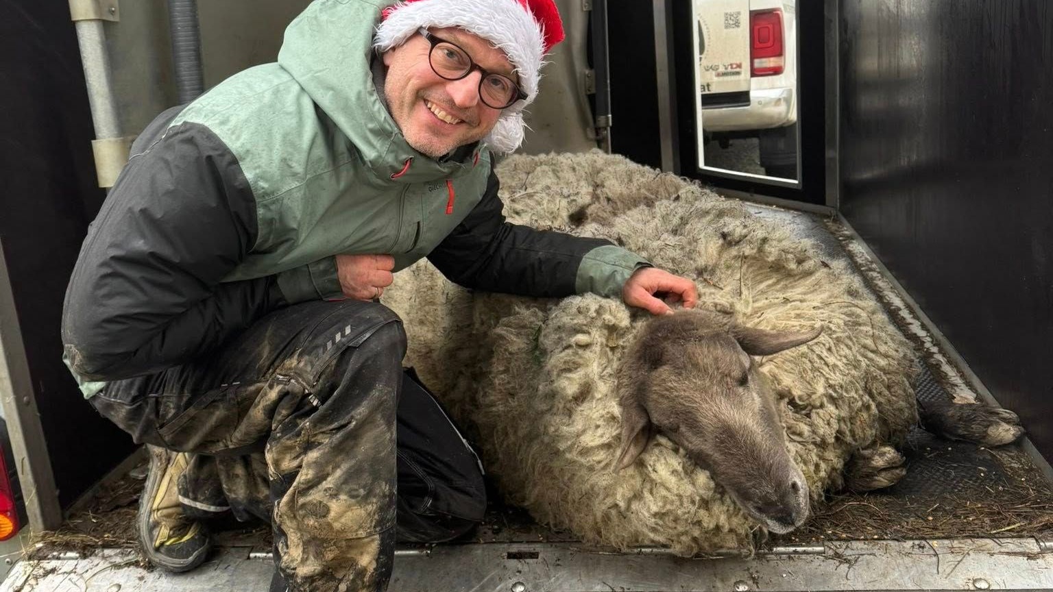 Heute.at - 25 Kilo Wolle! Rudolph kann jetzt wieder atmen