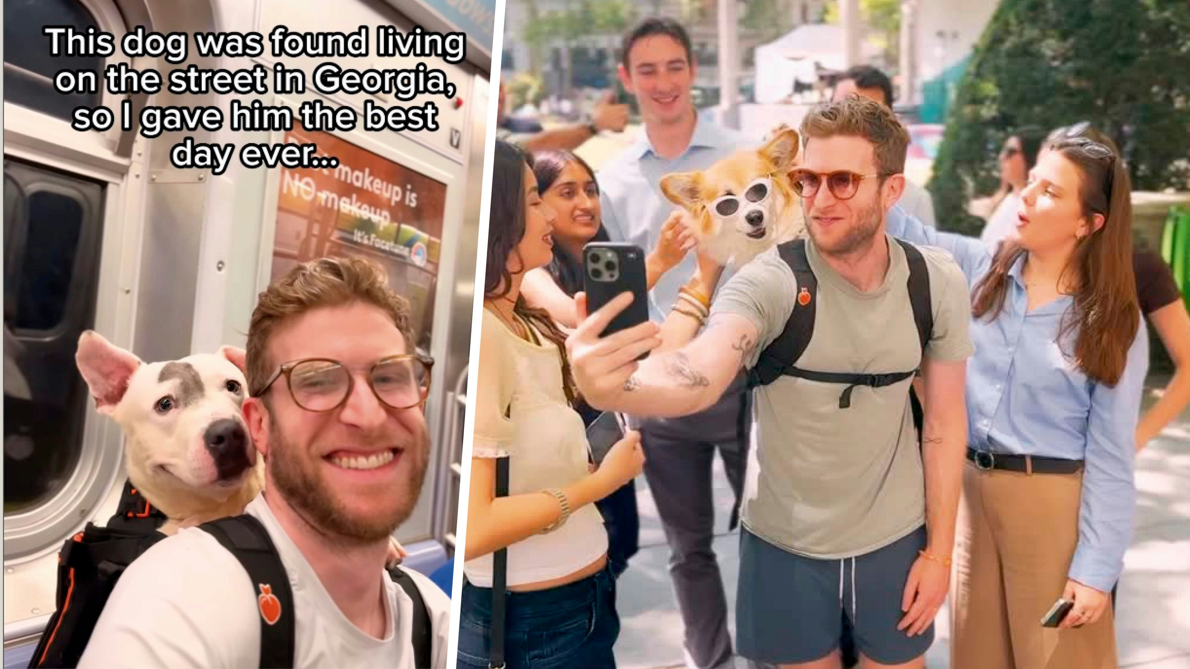 Heute.at - Influencer nimmt Tierheimhunde auf U-Bahn-Abenteuer mit