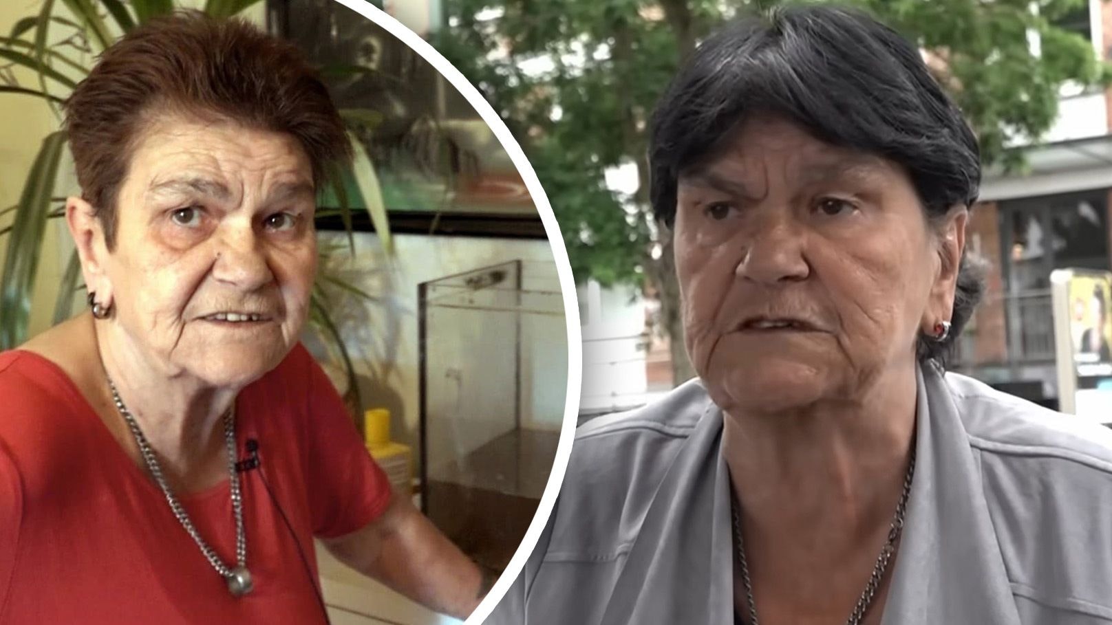 Heute.at - Regina ist tot! Trauer um Hartz und herzlich-Star