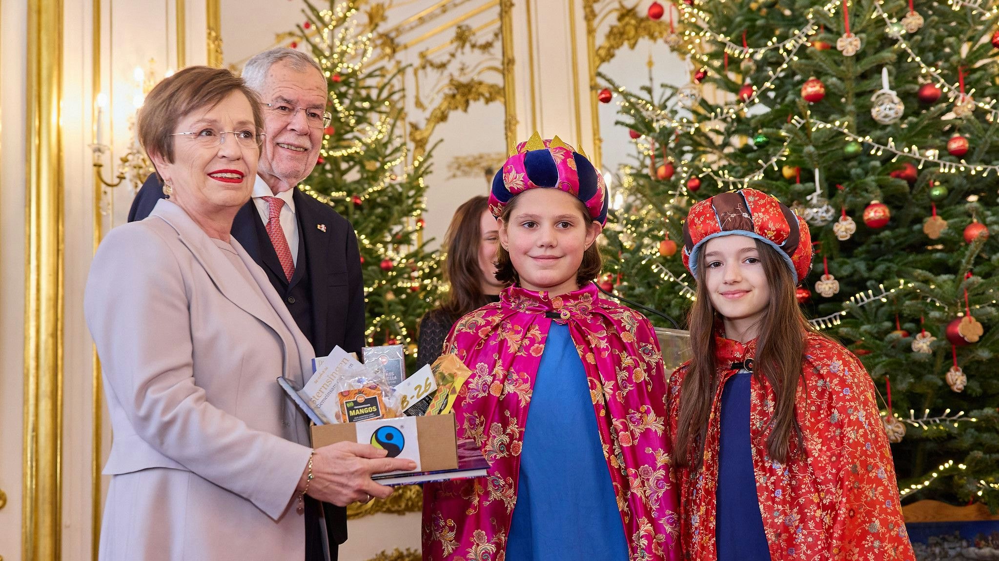 Noch im alten Jahr waren die Sternsinger zu Gast bei Bundespräsident Alexander Van der Bellen. 