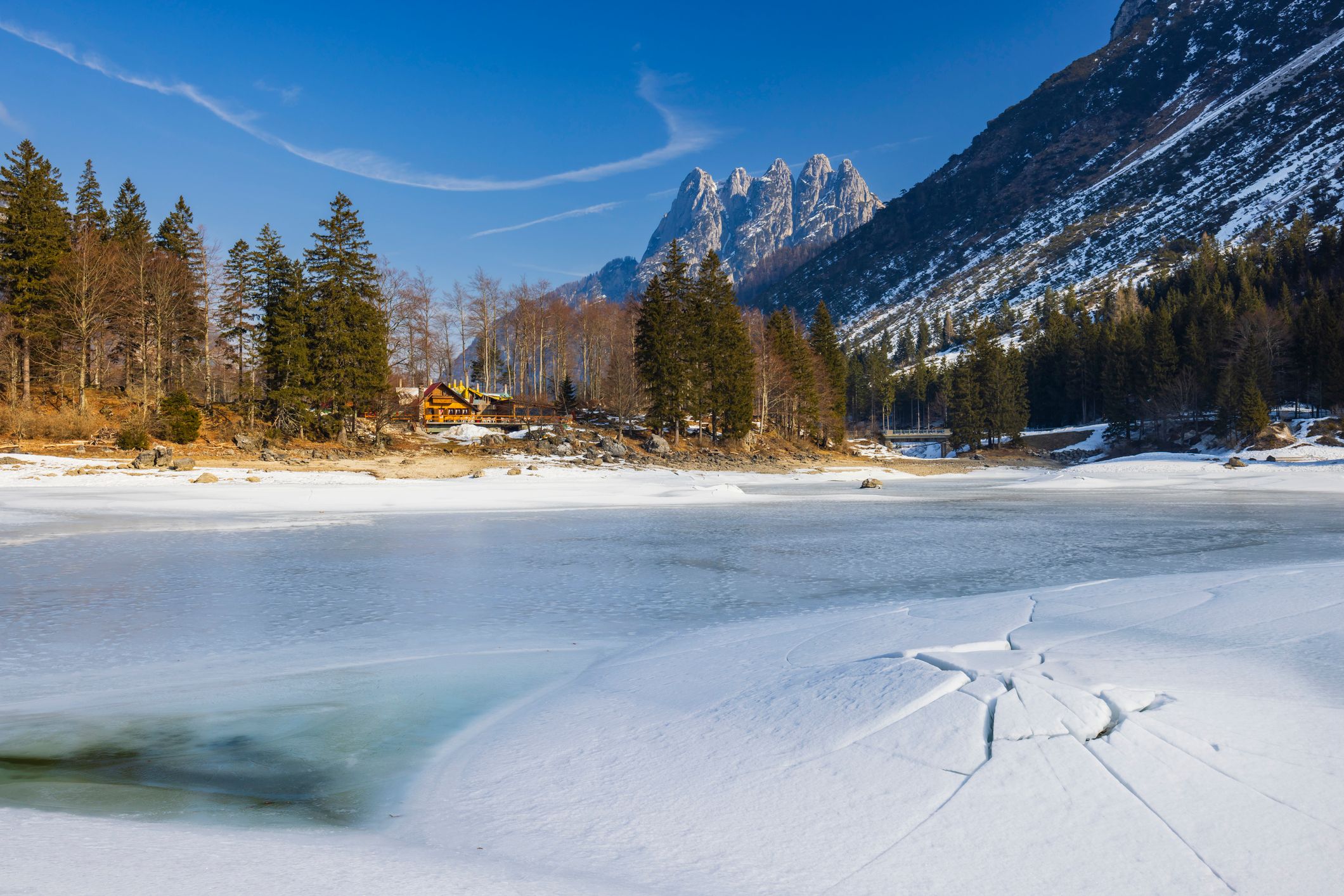 Heute.at - Dieses Bambi hatte einen denkbar eisigen Start