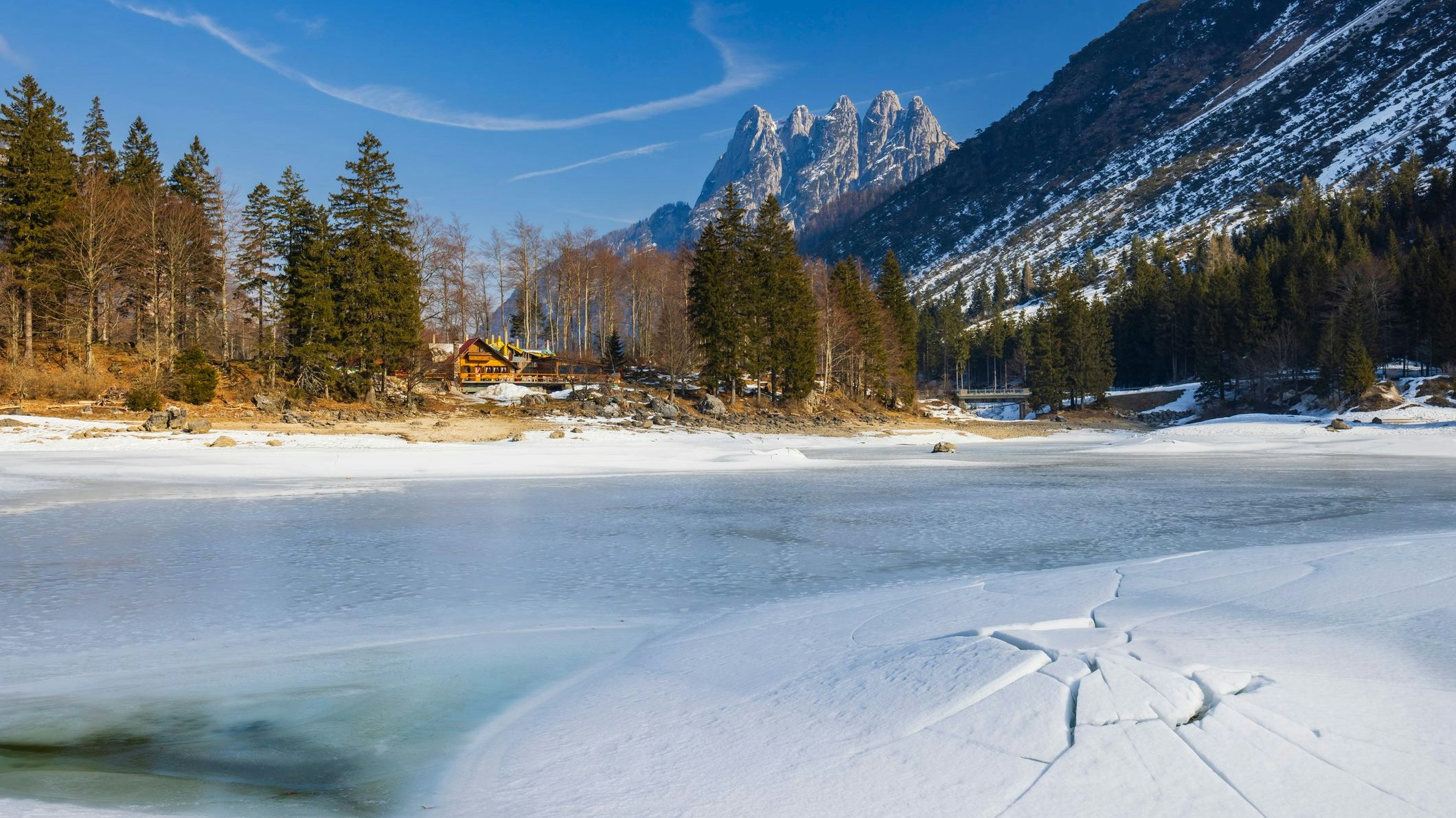 Heute.at - Dieses Bambi hatte einen denkbar eisigen Start
