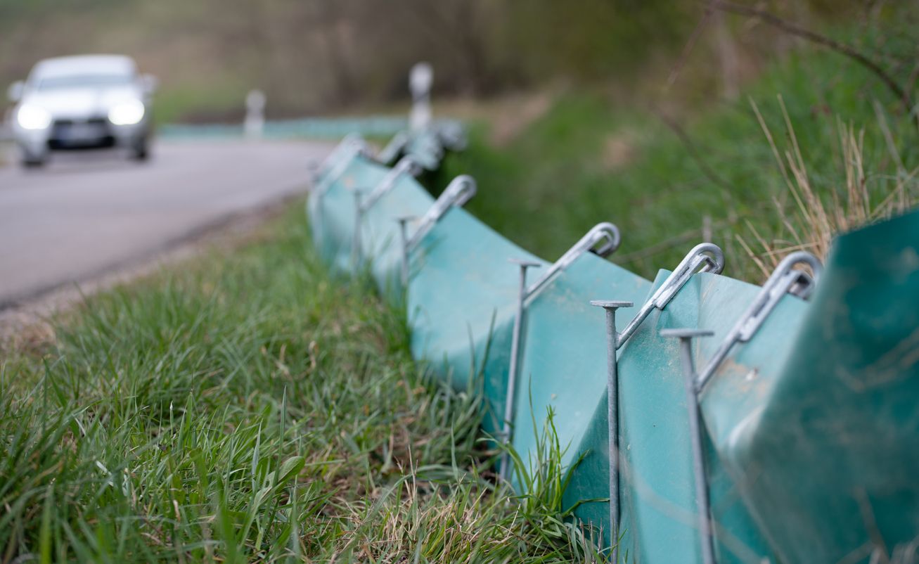 Heute.at - Die erste tierische Aufgabe im neuen Jahr wartet schon