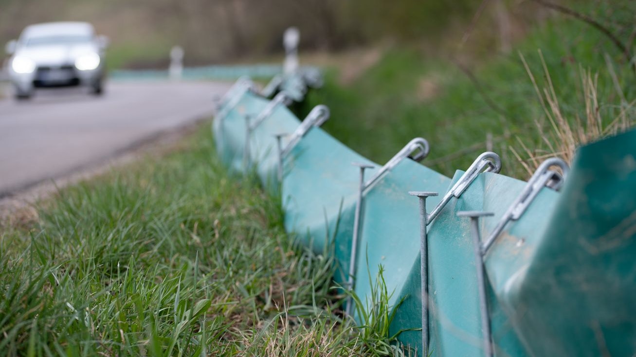 Heute.at - Die erste tierische Aufgabe im neuen Jahr wartet schon