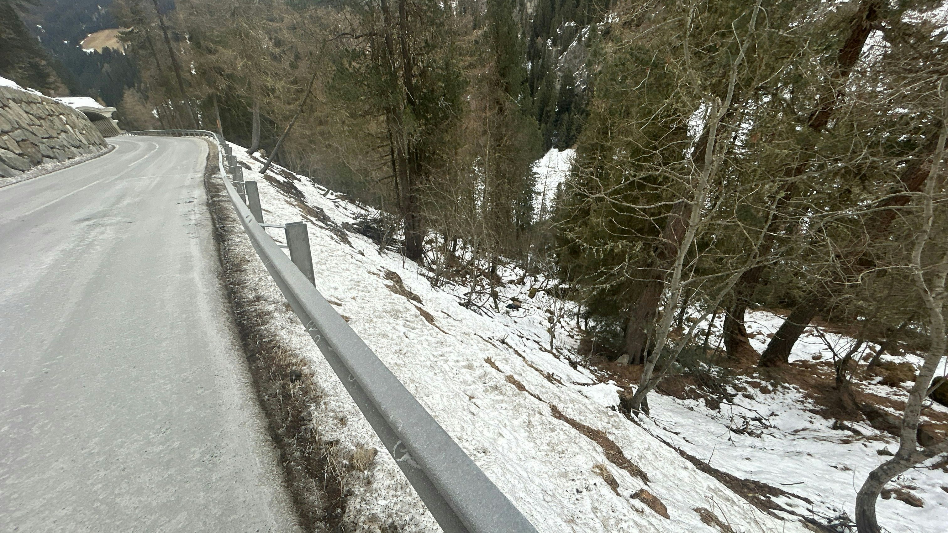 In diesem Bereich wurde das kopflose Tier entdeckt. 