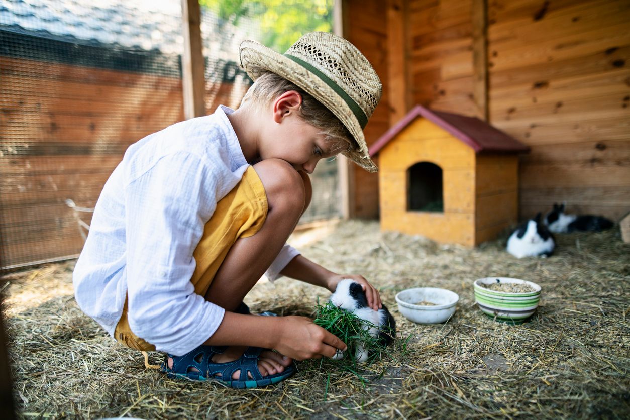 Heute.at - So lange darfst du deine Kaninchen alleine lassen