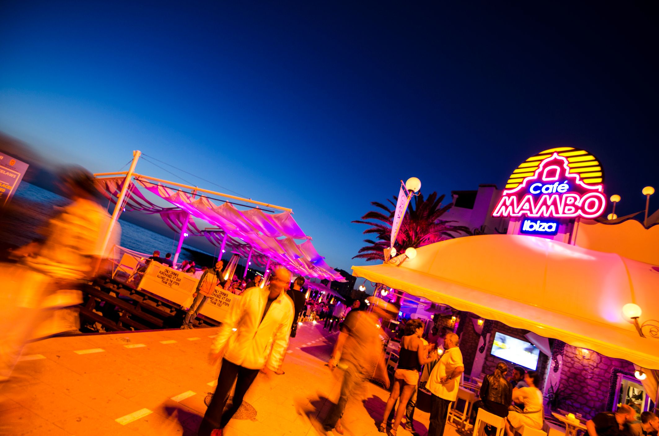 Heute.at - Plötzlich reich – das hat er als TikTok-Meme verdient