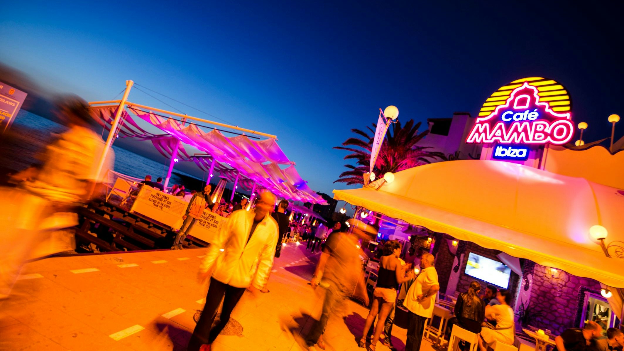 Heute.at - Plötzlich reich – das hat er als TikTok-Meme verdient