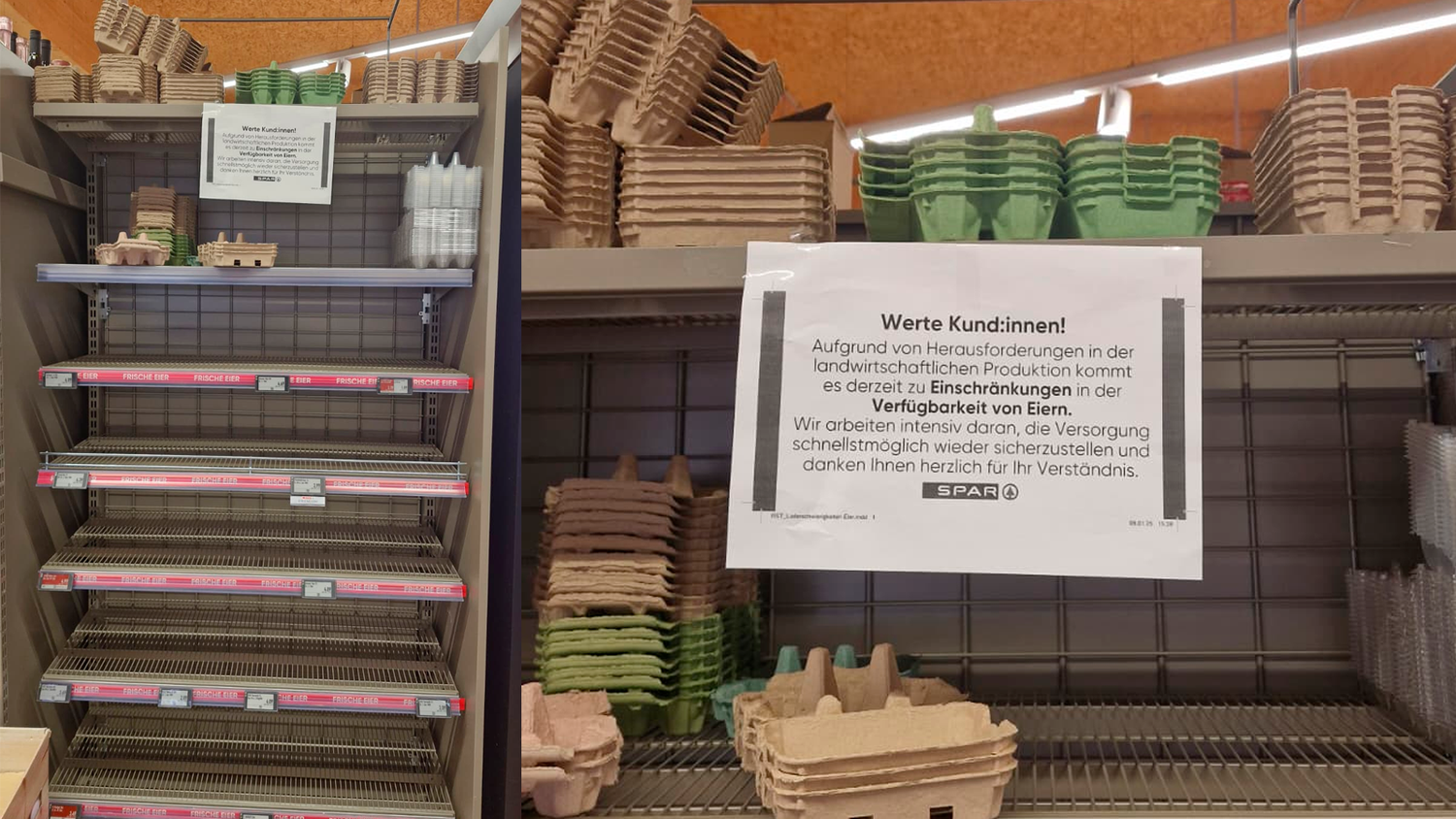 Heute.at - Eier-Engpass in Österreich – das steckt dahinter