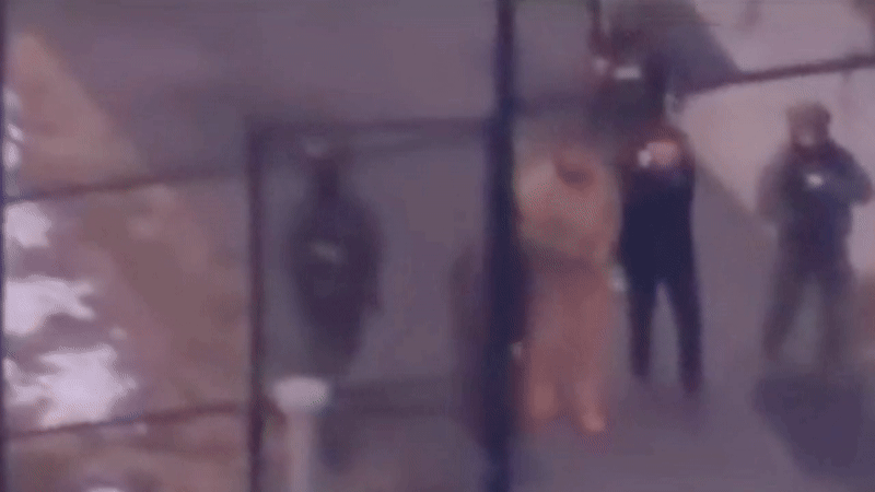 Heute.at - Erste Fotos! Maduro grinst auf dem Weg zum Gericht