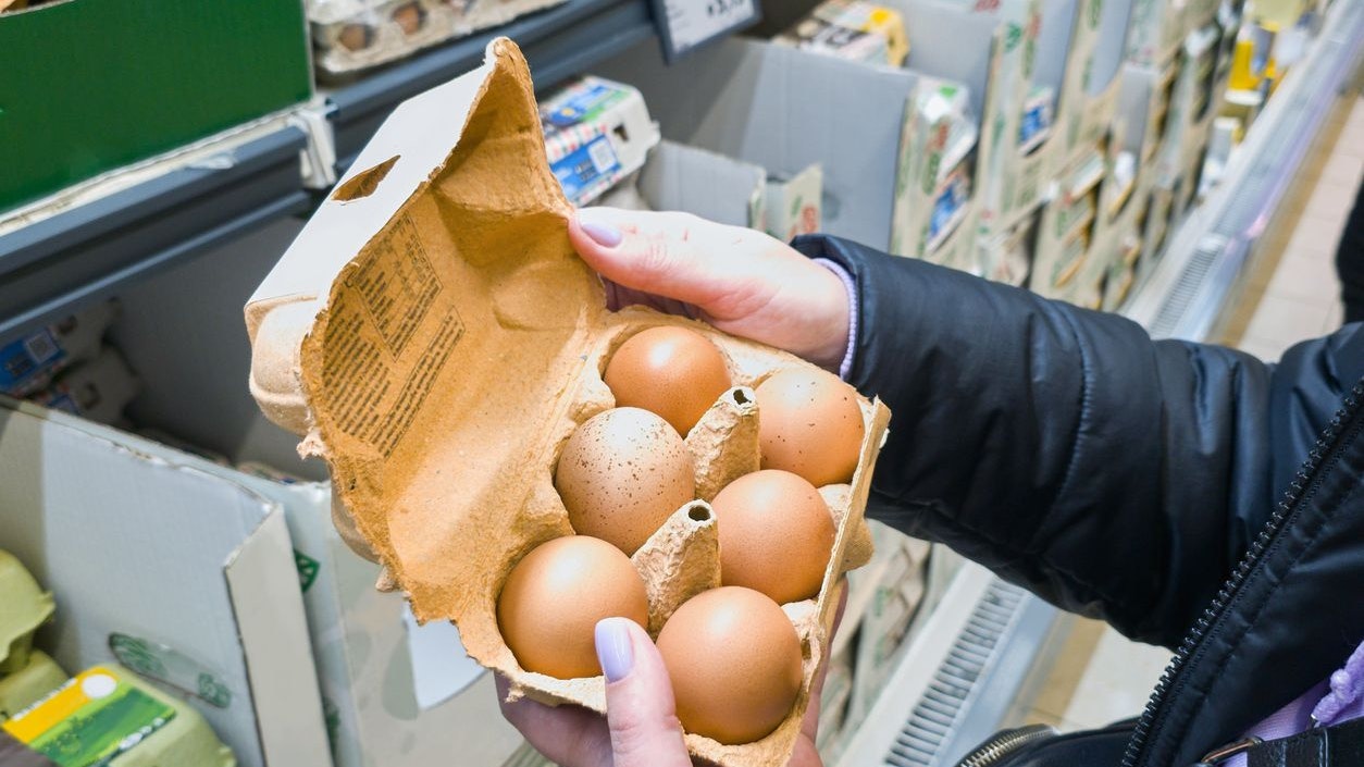 Eier sind in manchem Supermarkt gerade Mangelwaren. (Symbolbild)