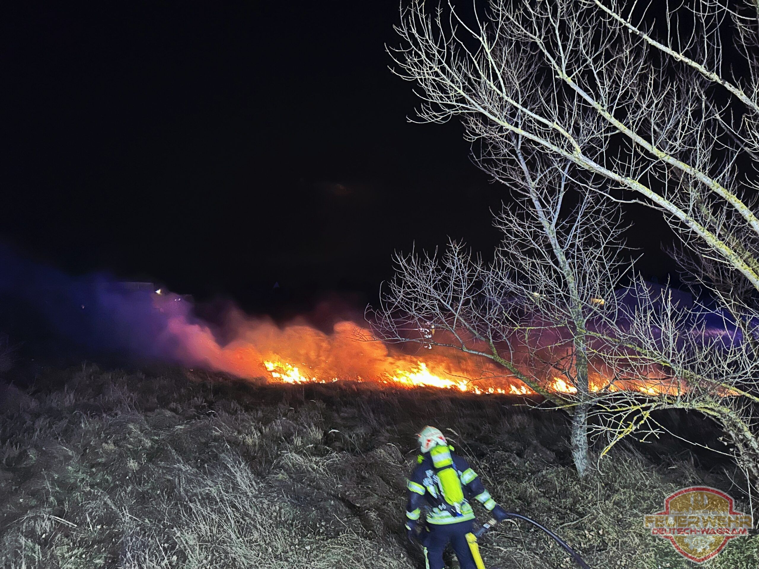 Heute.at - Löschangriff! Nächtlicher Flurbrand bei Einkaufszentrum