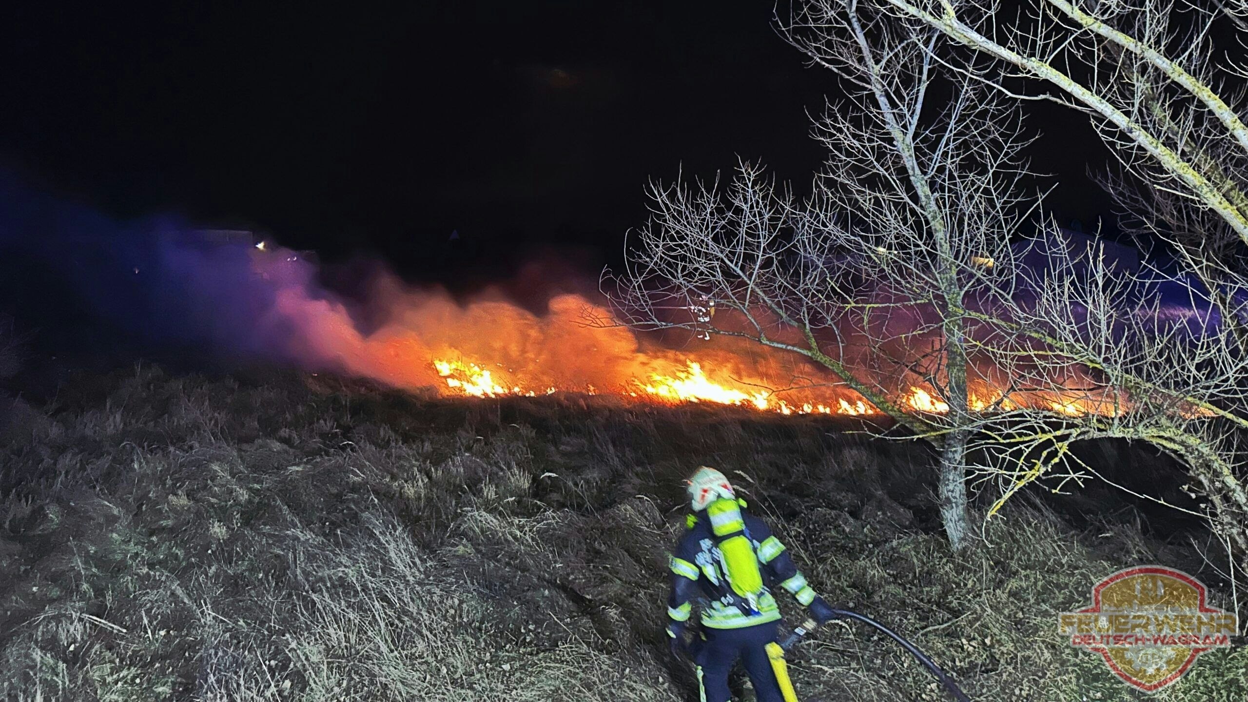 Heute.at - Löschangriff! Nächtlicher Flurbrand bei Einkaufszentrum