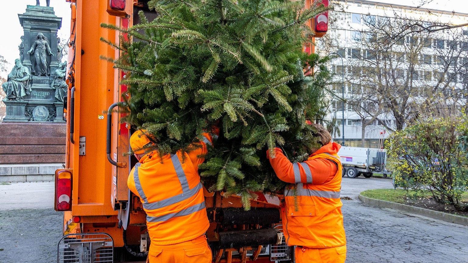 Mitarbeiter der 48er beim Verladen und bei den Sammelstellen der Christbäume.