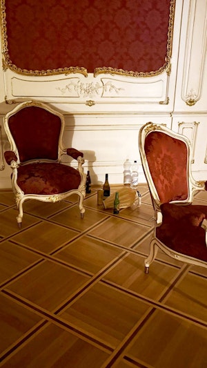 Illegale Silvesterparty Wien: Nach Einbruch in Palais wurden gestohlene Kunstgegenstände gefunden. Polizei meldet erste Ermittlungserfolge.