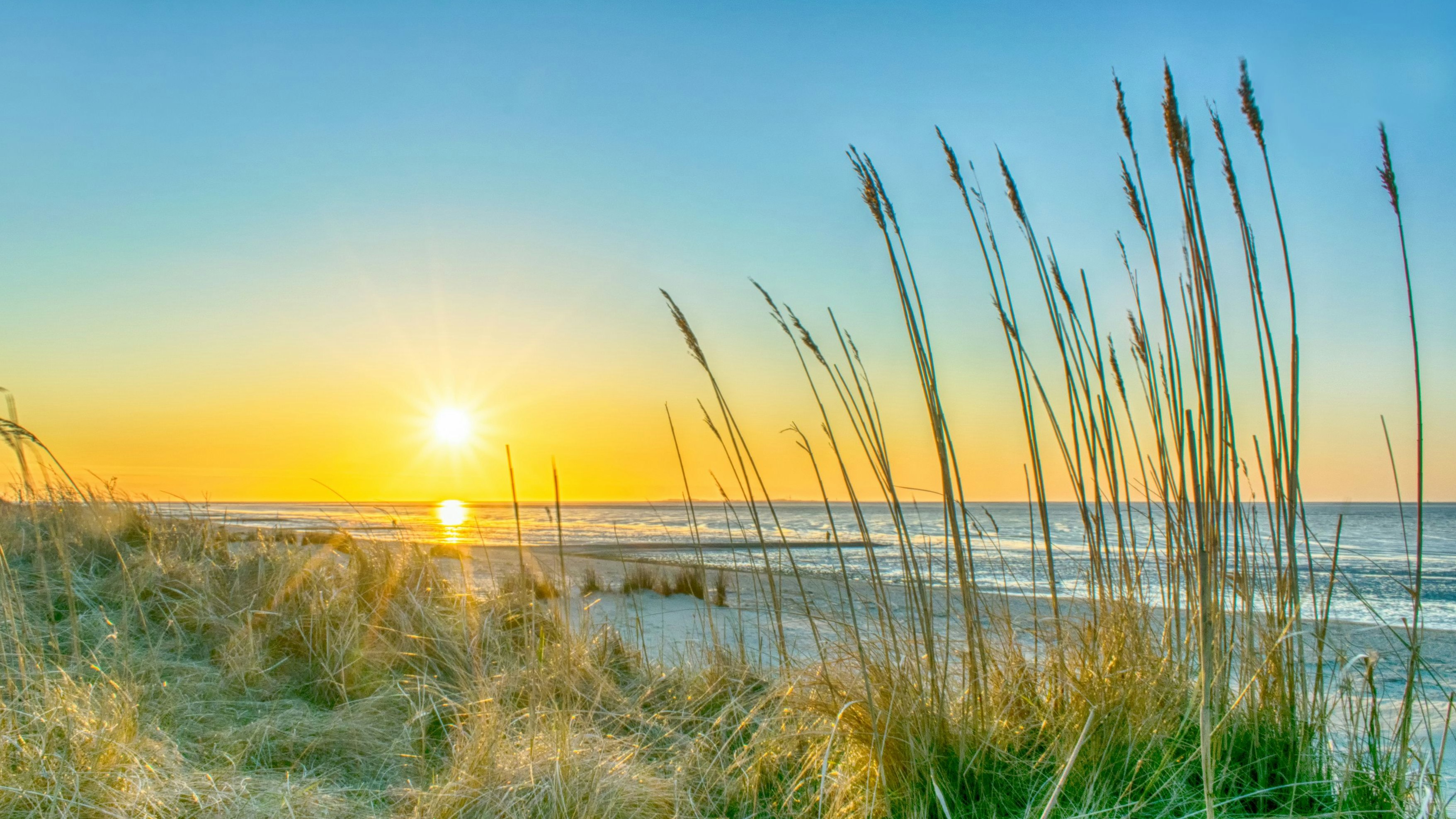 Heute.at - Schock! Rekord-Temperaturen in zwei europäischen Meeren