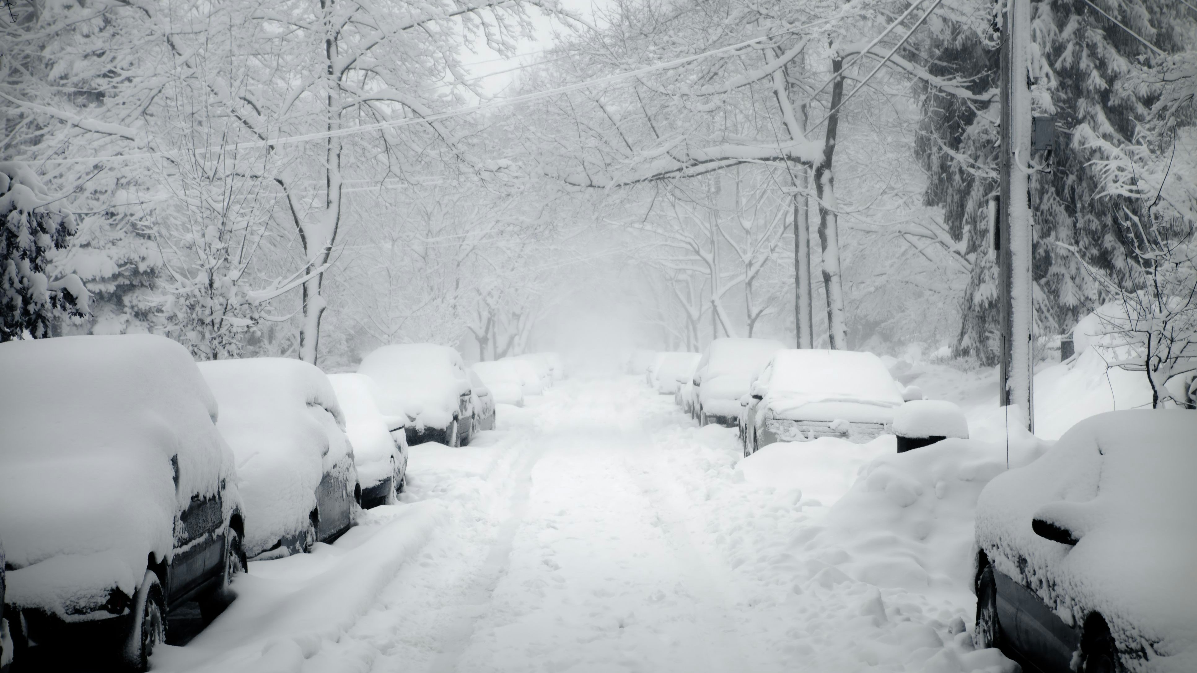 Heute.at - Bleiben Sie zu Hause – Wetter-Experte schockiert alle