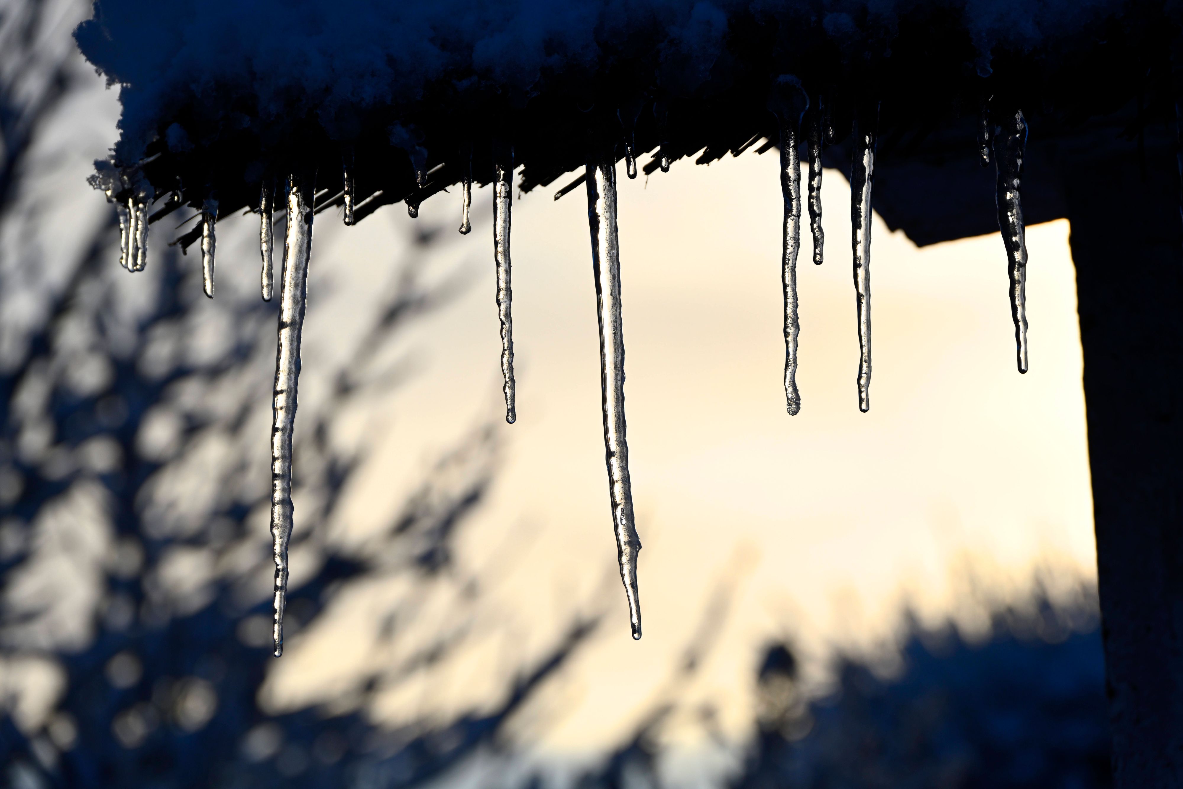 Heute.at - Alte Bauernregel! Warum es jetzt lange sehr kalt bleibt