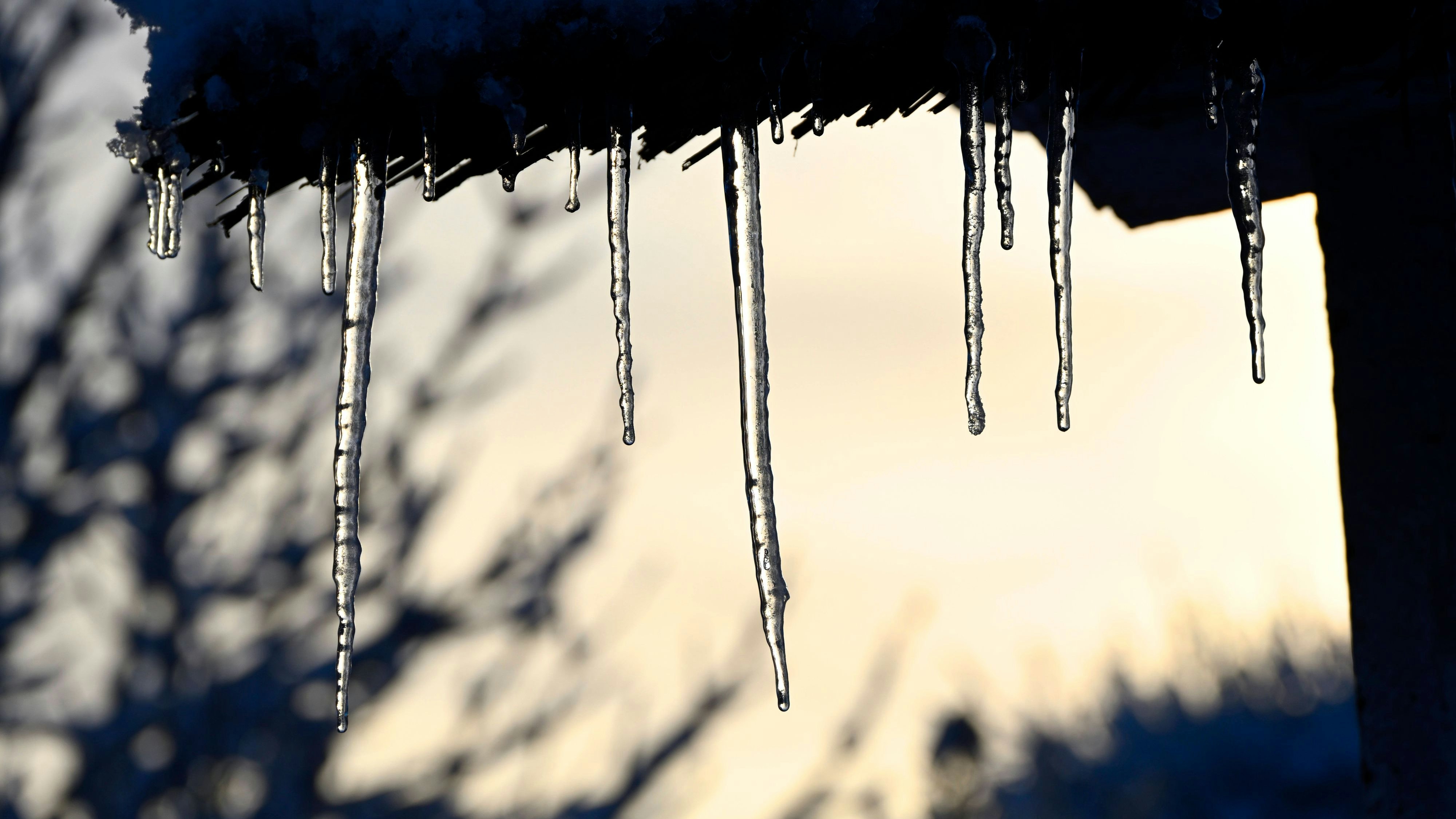 Heute.at - Alte Bauernregel! Warum es jetzt lange sehr kalt bleibt