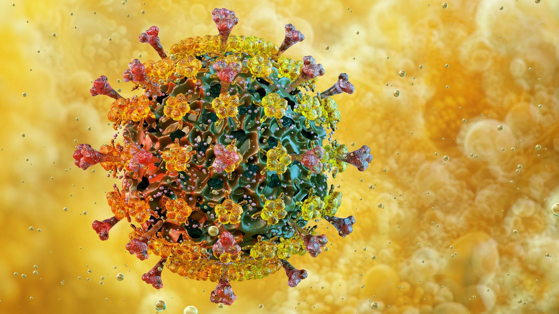 Heute.at - Viren – ein alter Feind ist 2026 die größte Bedrohung