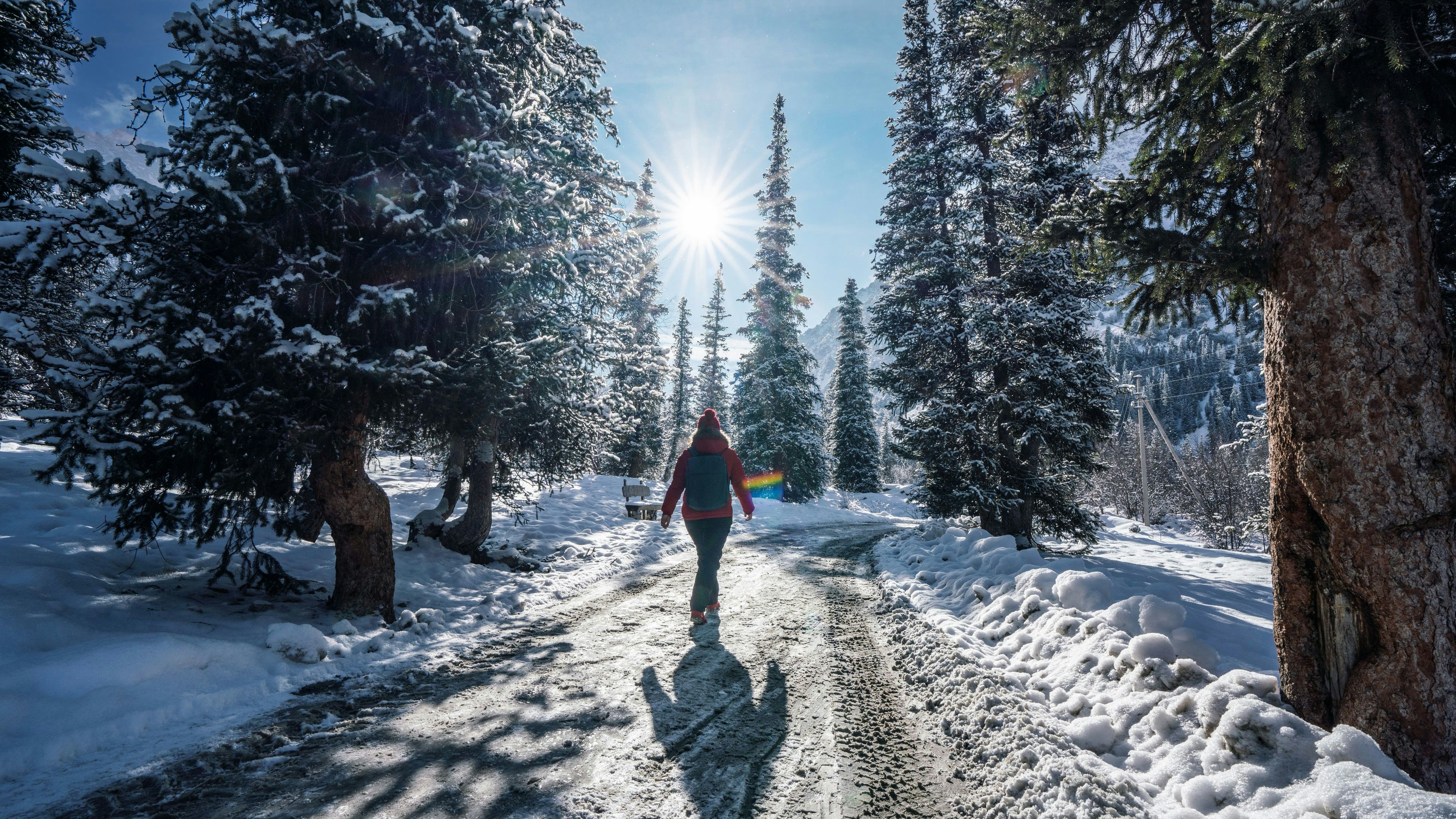 Heute.at - Jäger schießt auf Frau bei Familienspaziergang in Wald