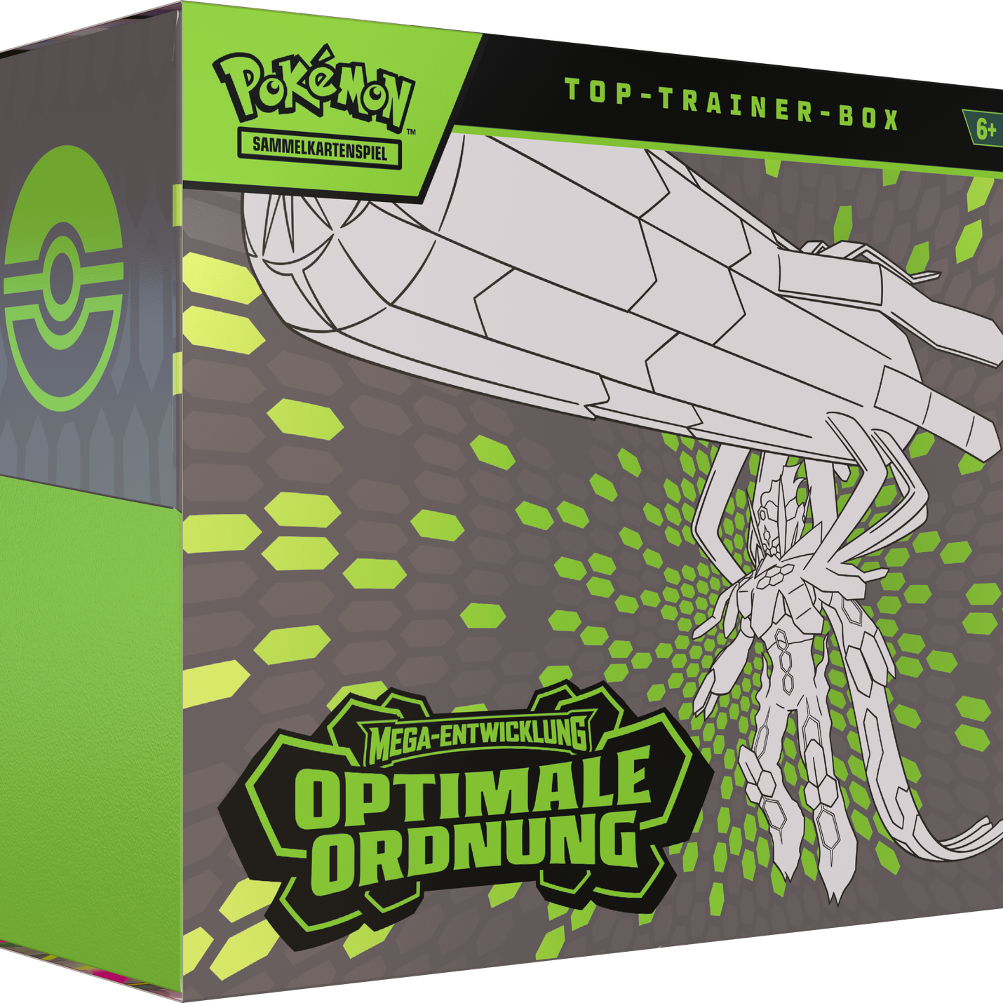 Die Top-Trainer-Box von "Mega-Entwicklung – Optimale Ordnung".