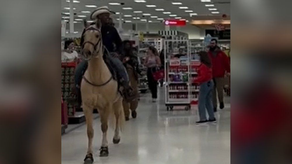 Heute.at - Zuerst Schafe – jetzt reitet Pferd durch Supermarkt