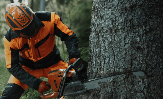 Heute.at - Nach Millionen-Pleite ist Aus für Falkner fix