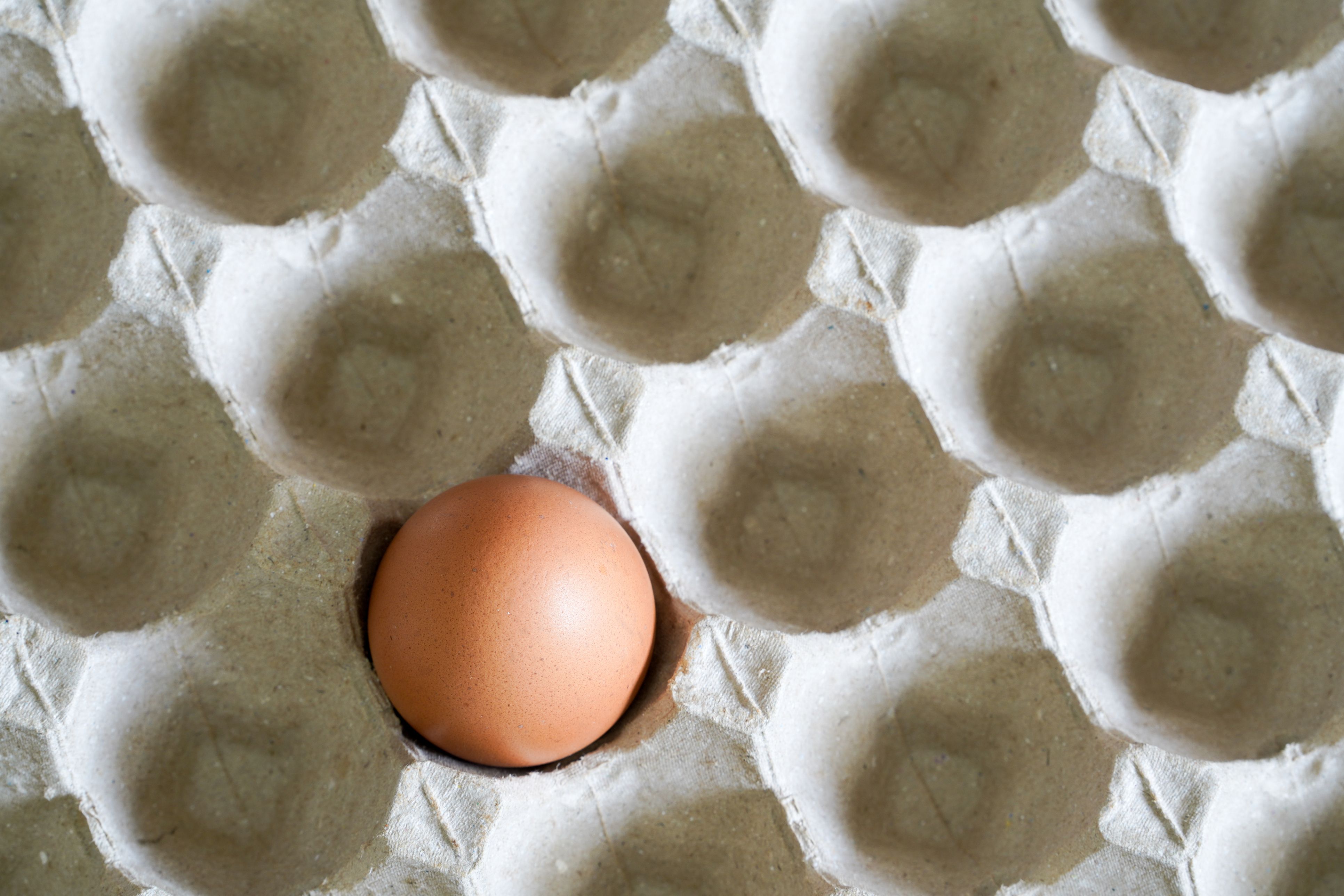 Heute.at - Schlimme Nachricht: Eier bleiben bis nach Ostern knapp