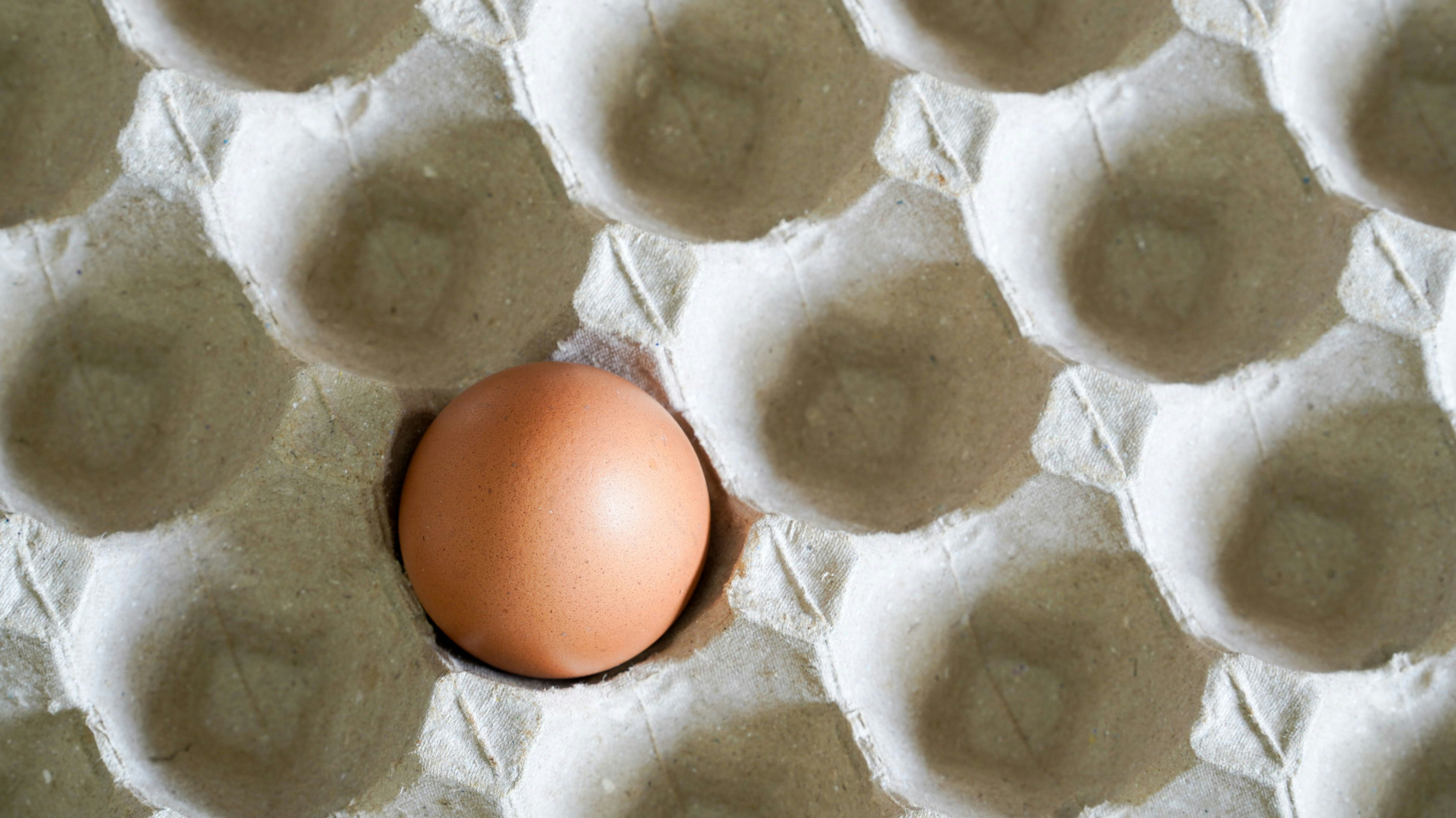 Heute.at - Schlimme Nachricht: Eier bleiben bis nach Ostern knapp