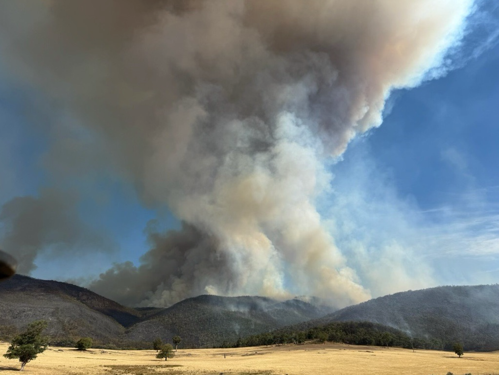 Heute.at - Extremwetter – Hitzewelle und Brände in Australien