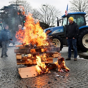 Geniestreich oder Teufelszeug? Wieso Mercosur viele so wütend macht