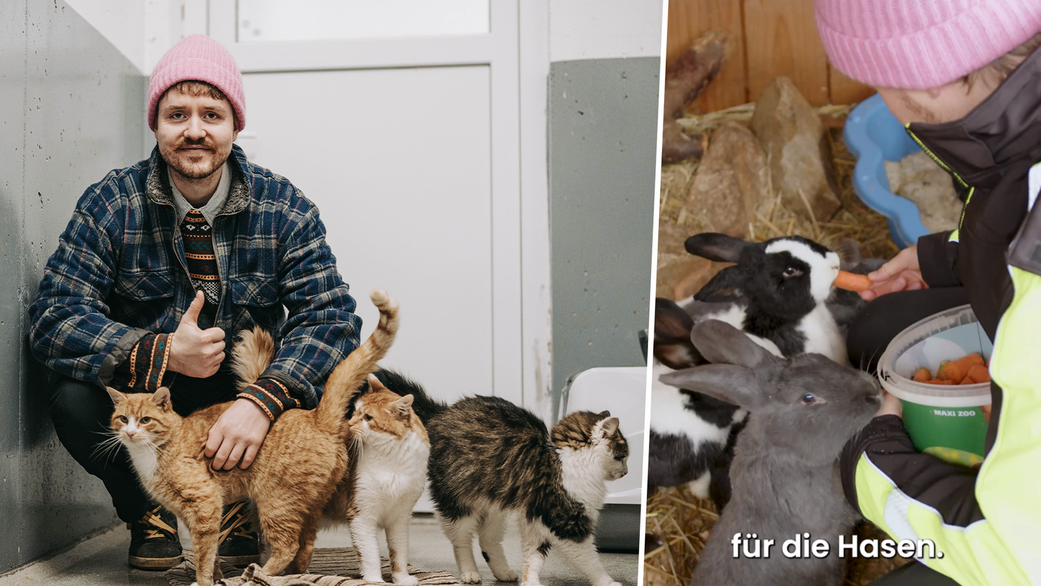 Heute.at - Schnarchnase: Land wirbt mit Comedy-Star für Adoption