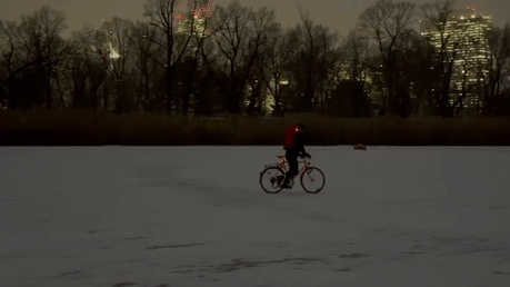 Heute.at - Lebensgefährlich! Wiener Lieferant radelt über Wasser
