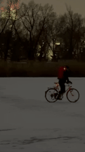 Lieferant radelt über zugefrorene Alte Donau: Waghalsige Aktion sorgt für Aufregung – Stadt Wien warnt vor Lebensgefahr auf dünnem Eis.