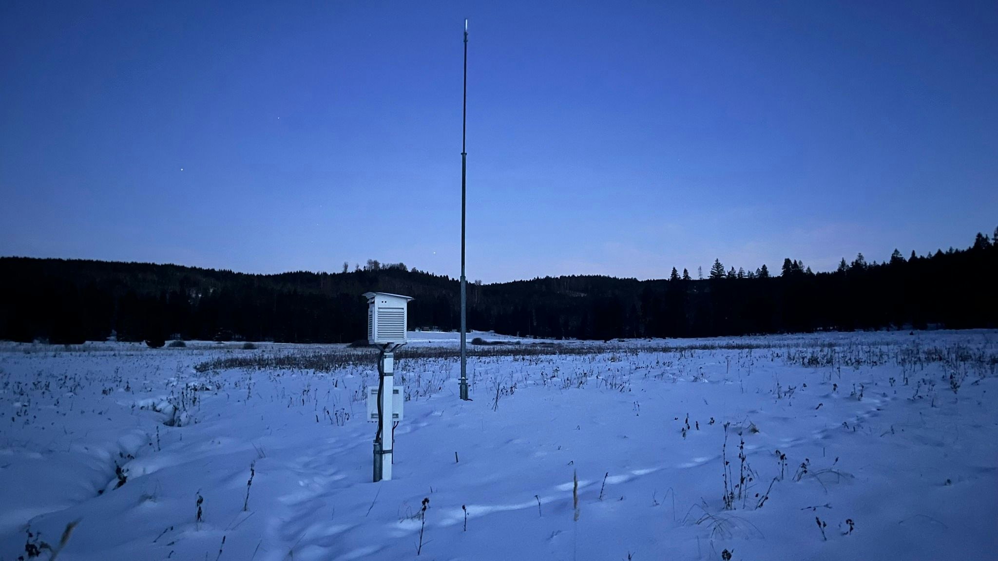 Kalt, kälter, viel kälter, Waldviertel: Die Wetterstation Schwarzau im Freiwald am 11. Jänner 2026.